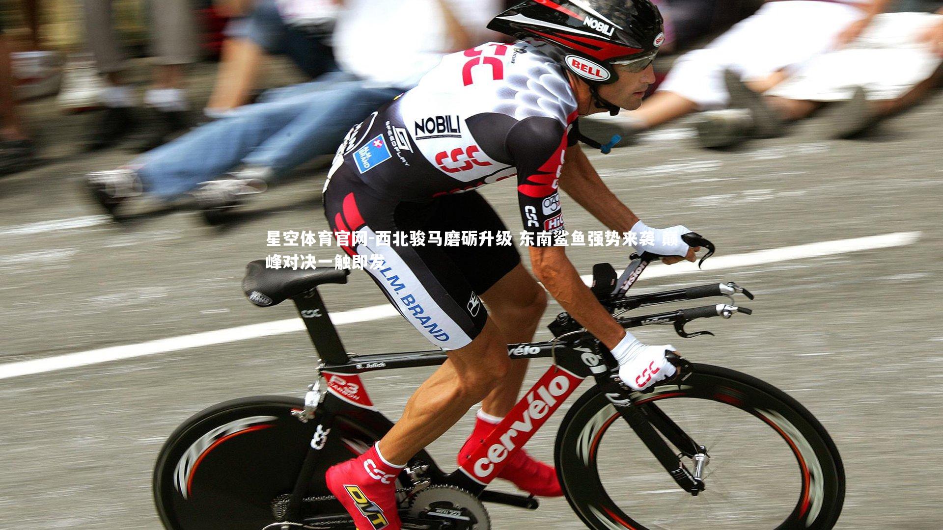 星空体育官网-西北骏马磨砺升级 东南鲨鱼强势来袭 巅峰对决一触即发